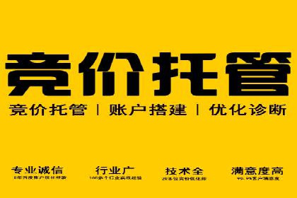某某SEM服务公司成功案例：从数据出发的营销策略